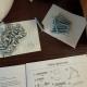 review preview photo № 6