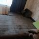 review photo № 4