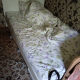 review photo № 0