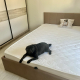 review photo № 1