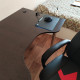 review photo № 0