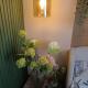 review photo № 9