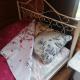 review photo № 7