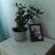 review photo № 1