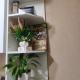 review preview photo № 0