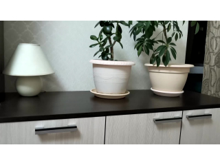 review preview video № 0